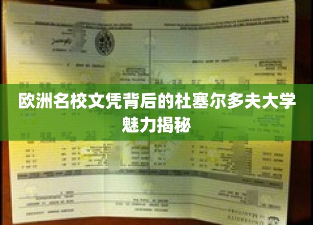 解码杜塞魅力，揭秘欧洲名校文凭背后的杜尔大学传奇