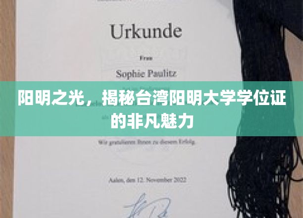 阳明之光，揭秘台湾阳明大学学位证的非凡魅力
