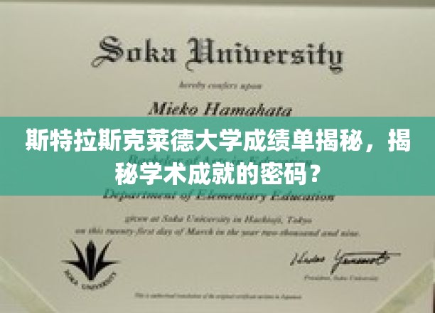 斯特拉斯克莱德大学成绩单揭秘，揭秘学术成就的密码？