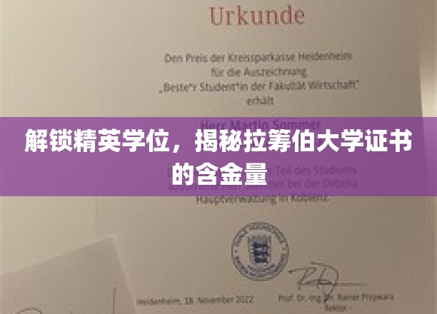探寻精英之路，揭秘拉筹伯大学证书的价值与潜力