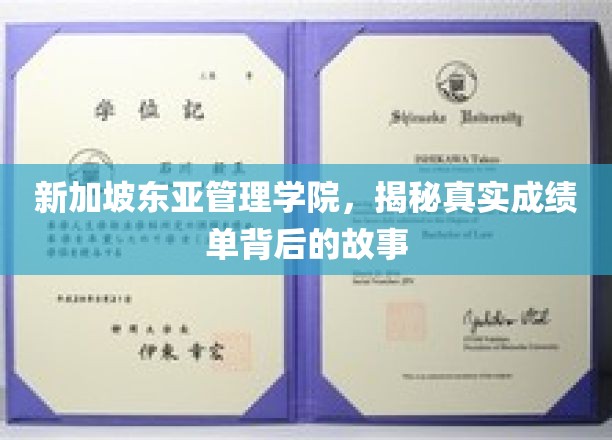 新加坡东亚管理学院，揭开成绩单背后的非凡旅程