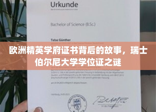 揭开欧洲精英学府证书背后的故事，探寻瑞士伯尔尼大学学位证的奥秘