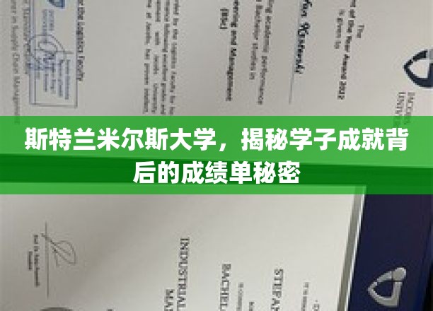 揭开斯特兰米尔斯大学学子辉煌背后的成绩单秘密面纱