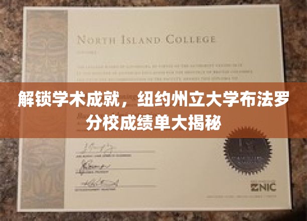 探索学术巅峰，纽约州立大学布法罗分校成绩单背后的秘密世界