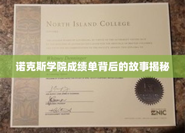 揭开诺克斯学院成绩单背后的神秘面纱