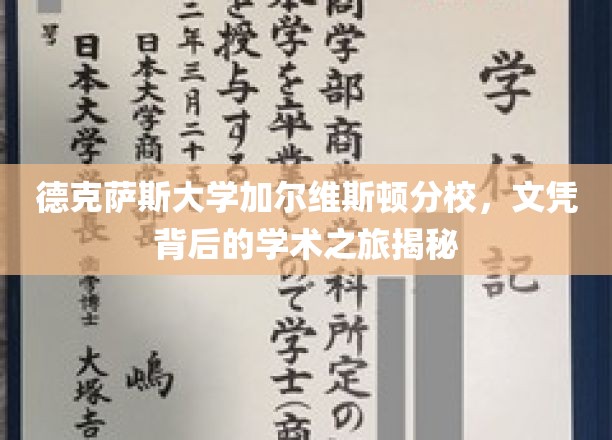 解码德克萨斯大学加尔维斯顿分校，文凭背后的学术征途全景图