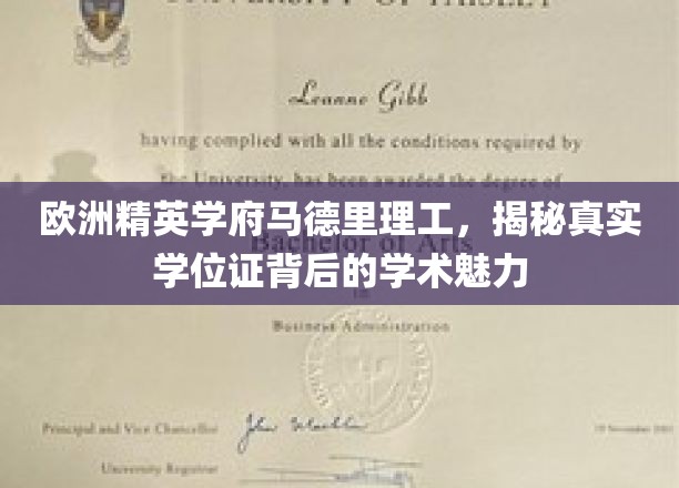 马德里理工，探寻欧洲精英学府学位证的学术魅力之旅