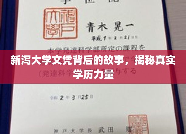 学历之光，新泻大学背后的传奇与真实价值探索