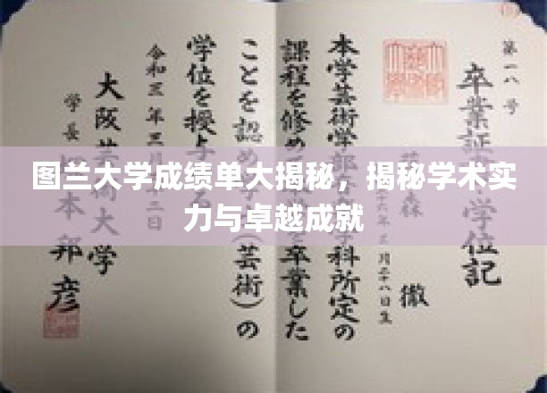 图兰大学学术实力大盘点，卓越成就背后的成绩单曝光