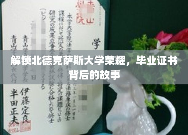 北德克萨斯大学荣耀揭秘，毕业证书背后的传奇历程