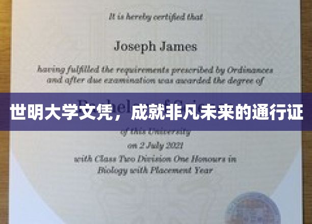 学历镀金，世明文凭开启非凡人生之旅
