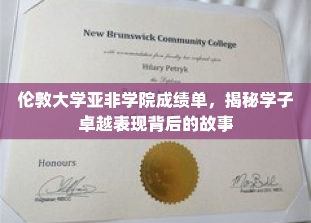 伦敦学子卓越之路，亚非学院成绩单背后的精彩篇章