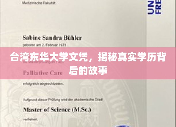 台湾东华大学文凭，揭秘真实学历背后的故事