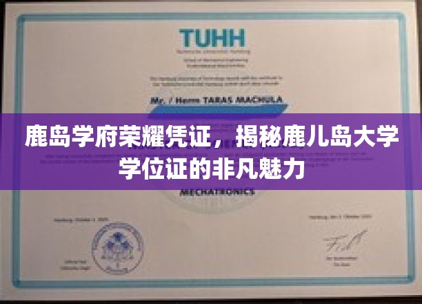 鹿岛学府荣耀凭证，揭秘鹿儿岛大学学位证的非凡魅力