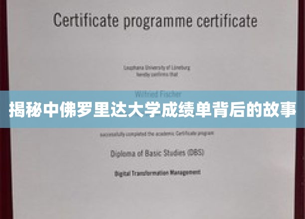 探寻中佛罗里达大学成绩单背后的秘密世界