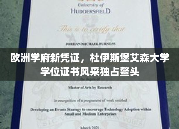 杜伊斯堡艾森大学学位证书，欧洲教育界的新星闪耀