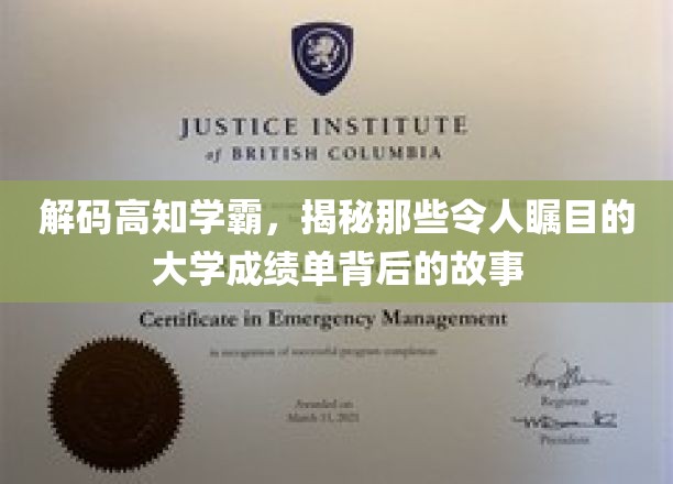 解码高知学霸，揭秘那些令人瞩目的大学成绩单背后的故事