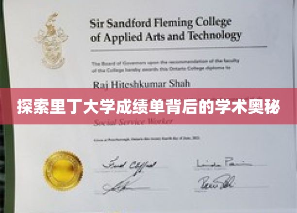 探索里丁大学成绩单背后的学术奥秘
