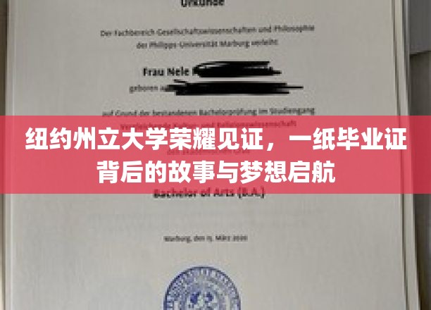 纽约州立大学荣耀见证，一纸毕业证背后的故事与梦想启航