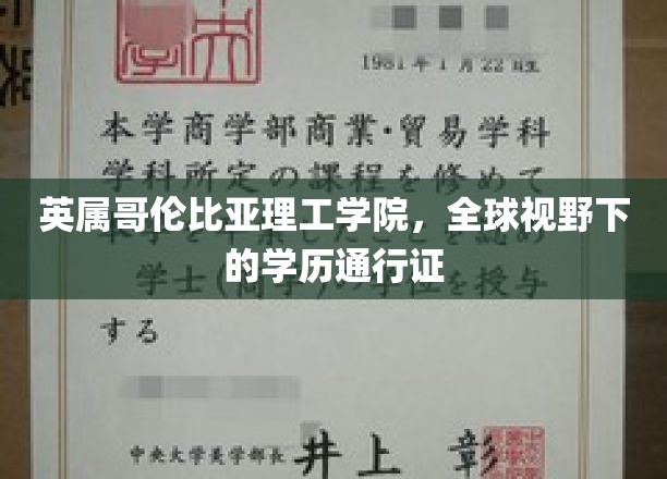 跨越国界的学术通行证，英属哥伦比亚理工学院的全球教育魅力