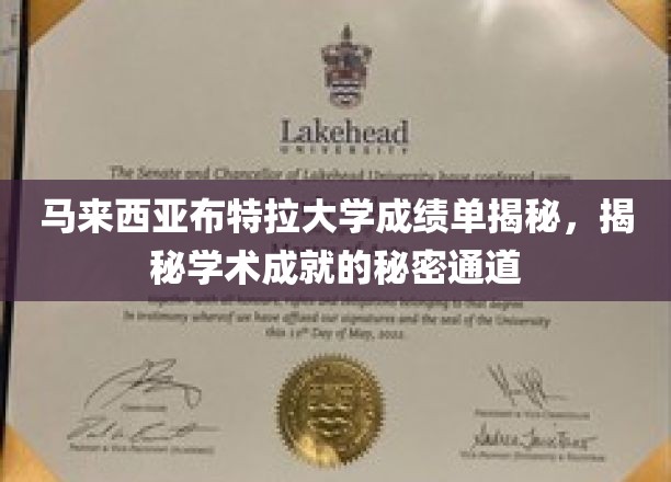 马来西亚布特拉大学成绩单揭秘，揭秘学术成就的秘密通道