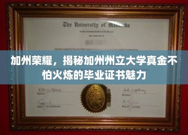 加州梦工厂，探寻加州州立大学证书的非凡价值与永恒魅力