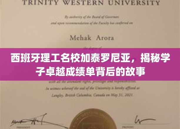 解码加泰罗尼亚理工，学子非凡成就背后的传奇之路