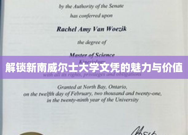 探索新南威尔士大学文凭的无限潜能与实际价值