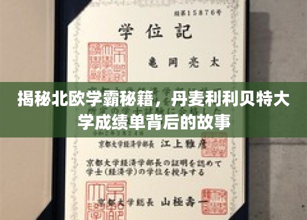 探索丹麦利利贝特大学学霸奇迹，揭开北欧教育精髓的神秘面纱