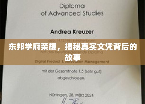 东邦学府传奇，探寻文凭背后的荣耀真相