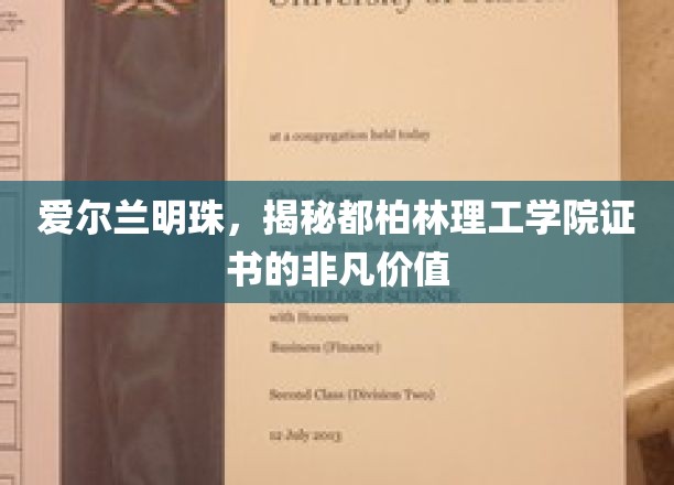 探寻都柏林理工学院证书，爱尔兰教育瑰宝的全球吸引力