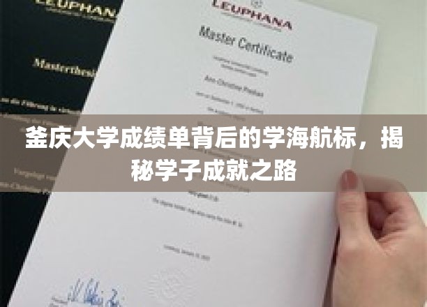釜庆大学成绩单背后的学海航标，揭秘学子成就之路