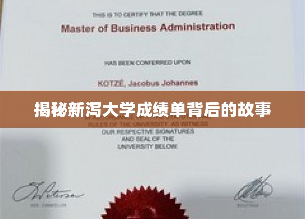 揭秘新泻大学成绩单背后的故事