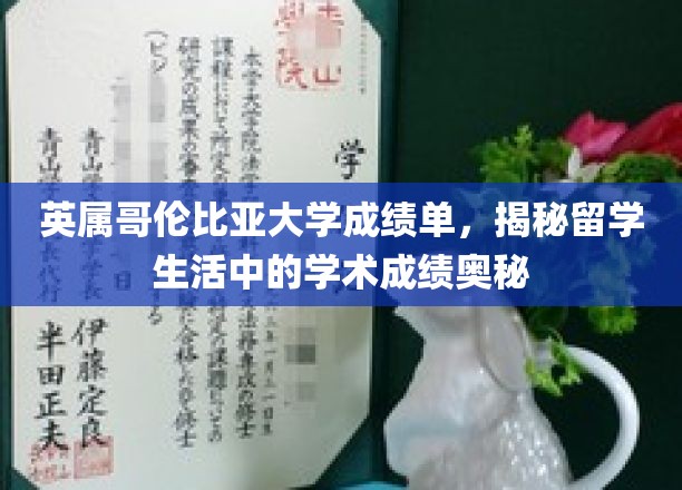 解码英属哥伦比亚大学，留学生学术成绩背后的故事