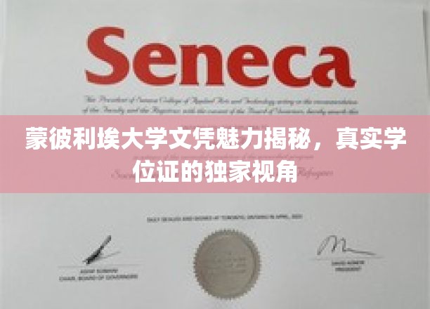 探寻蒙彼利埃大学文凭背后的故事，揭秘真实学位证的独特魅力