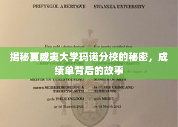 揭开夏威夷大学玛诺分校不为人知的学海传奇