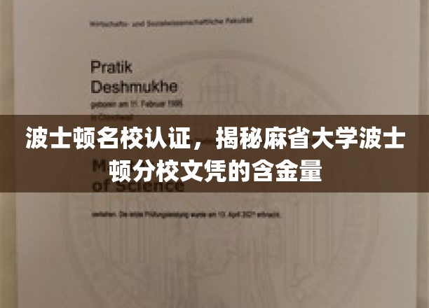 波士顿精英学府认证，深度解析麻省大学波士顿文凭价值