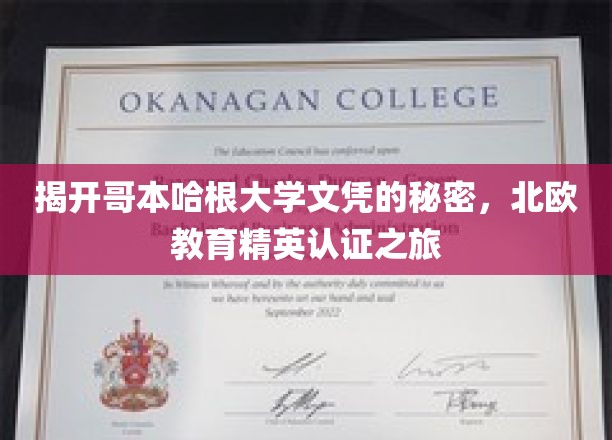 揭开哥本哈根大学文凭的秘密，北欧教育精英认证之旅