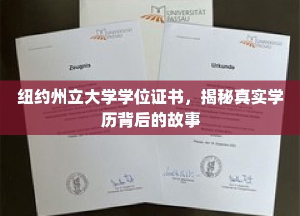 纽约州立大学学位证书，揭秘真实学历背后的故事