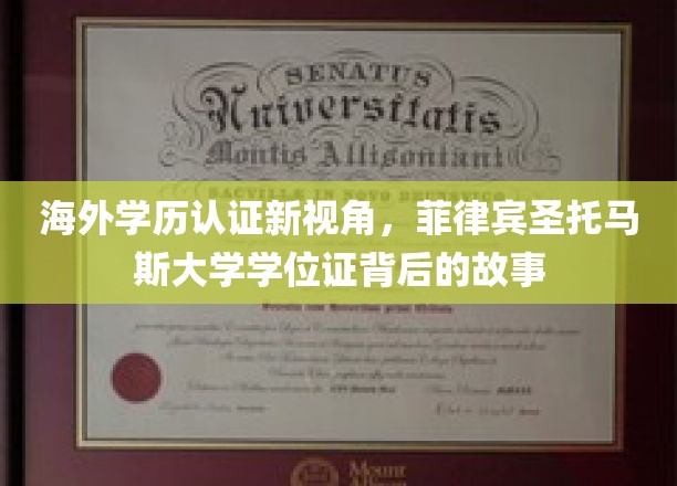 解码菲律宾圣托马斯大学，揭秘海外学历认证的多元面貌