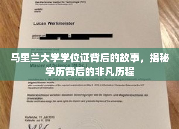 马里兰大学学位证背后的故事，揭秘学历背后的非凡历程