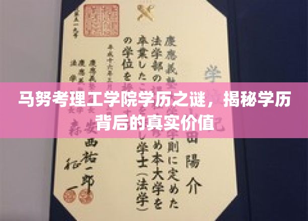 马努考理工学院学历之谜，揭秘学历背后的真实价值