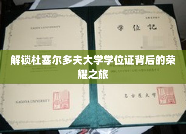 探寻杜塞尔多夫大学学位证的璀璨历程