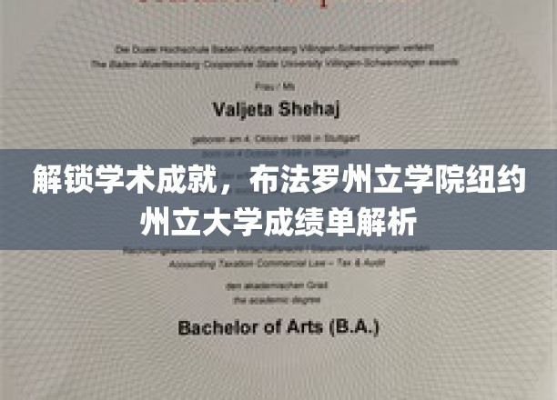 解锁学术成就，布法罗州立学院纽约州立大学成绩单解析