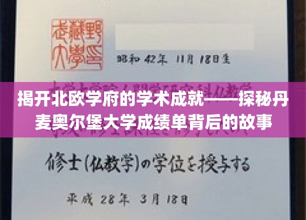 丹麦奥尔堡大学，揭秘北欧学术璀璨之光