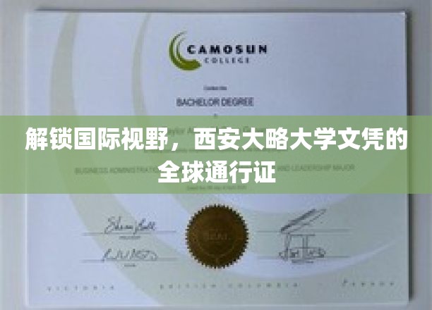 跨国通行，西安大略文凭，开启全球职场新篇章