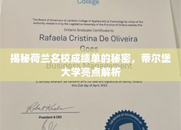揭秘荷兰名校成绩单的秘密，蒂尔堡大学亮点解析