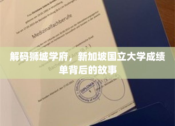 探寻狮城学府秘境，新加坡国立大学成绩单背后的传奇历程