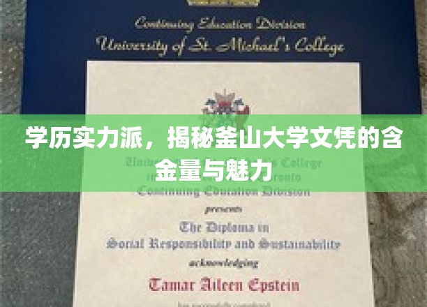 学历实力派，揭秘釜山大学文凭的含金量与魅力