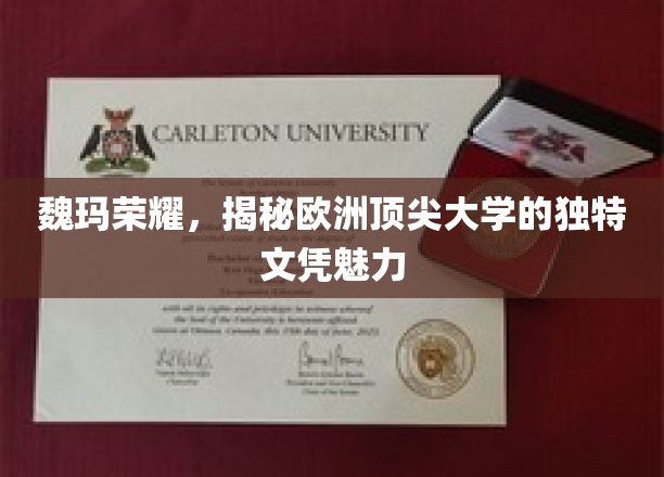 欧洲精英学府风采，魏玛荣耀下的文凭魅力探秘
